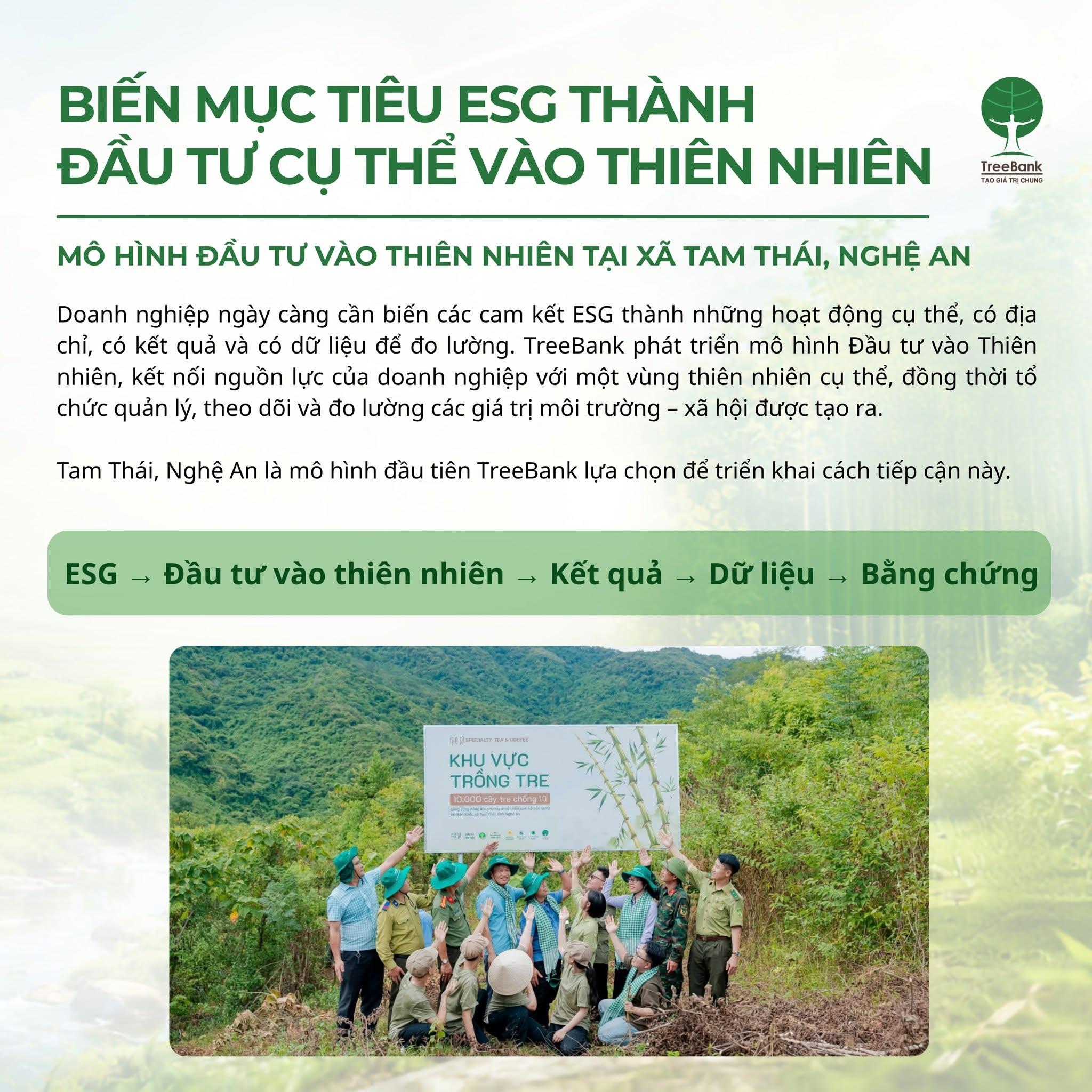 MÔ HÌNH ĐẦU TƯ VÀO THIÊN NHIÊN TẠI TAM THÁI - GIẢI PHÁP THỰC THI ESG CHO DOANH NGHIỆP